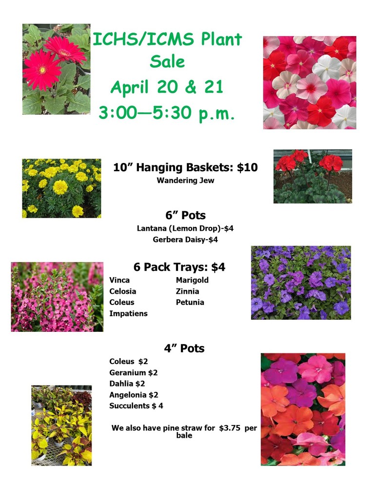 Plant sale