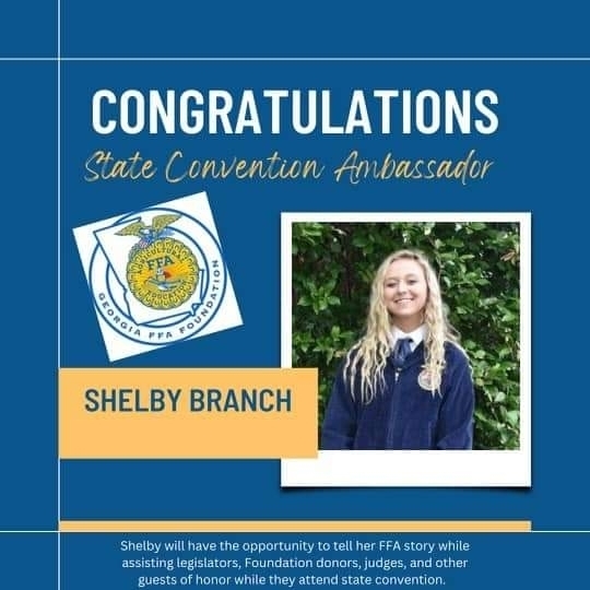 Shelby Branch 