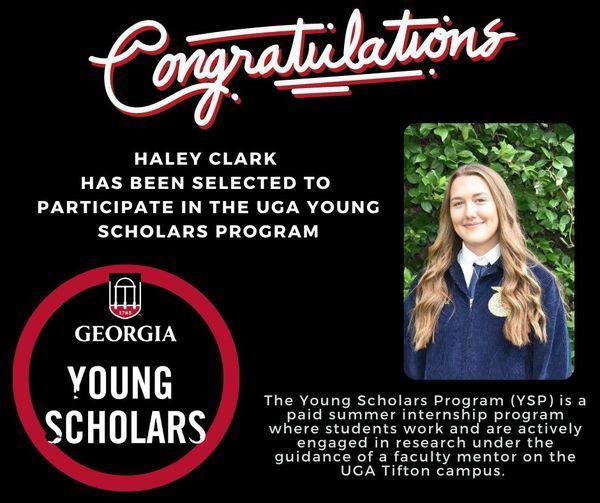 Haley Clark Selected to Participate in the UGA Young Scholars Program